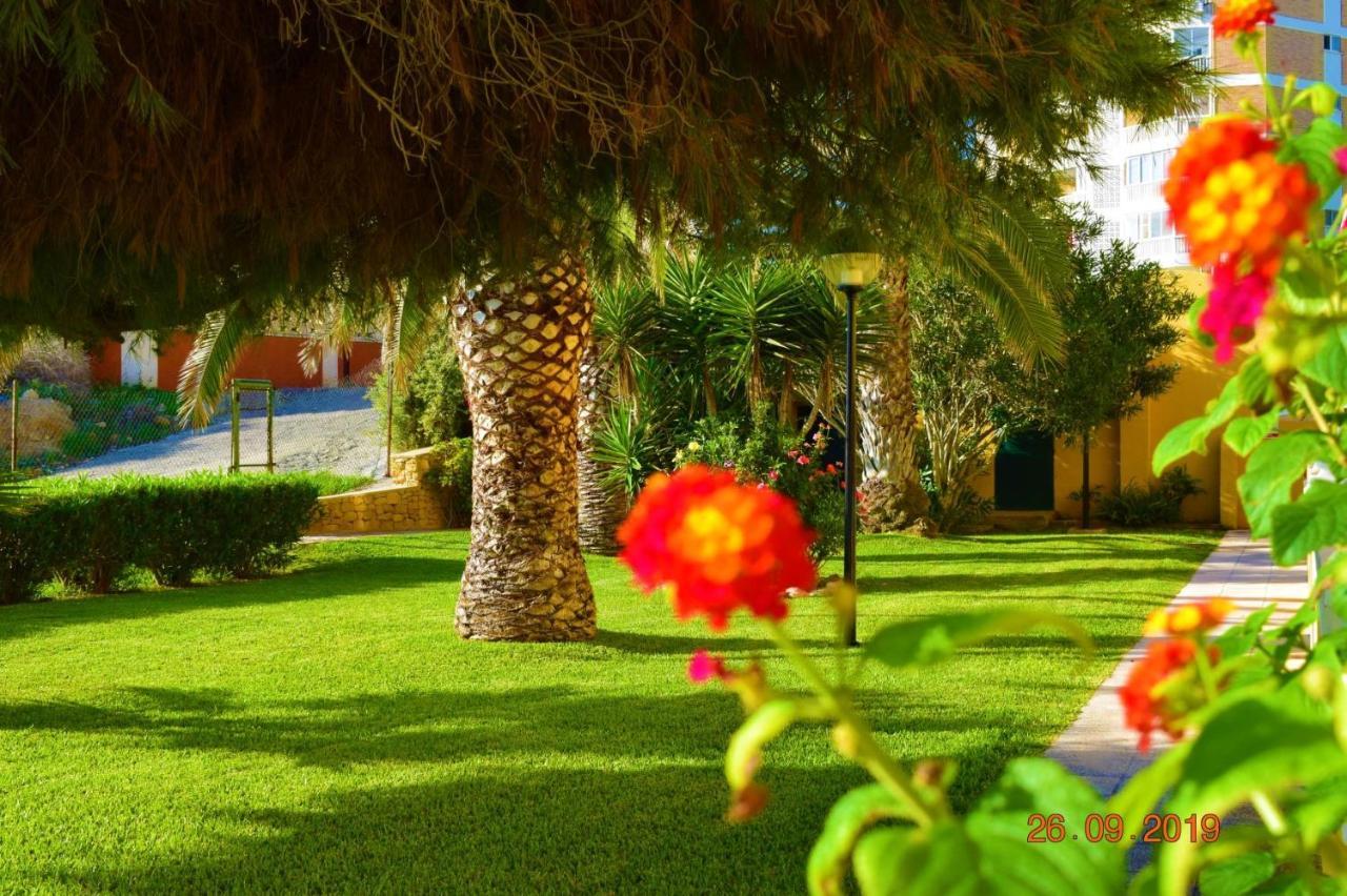 Bungalo En Primera Linea De La Playa Ел Кампело Екстериор снимка