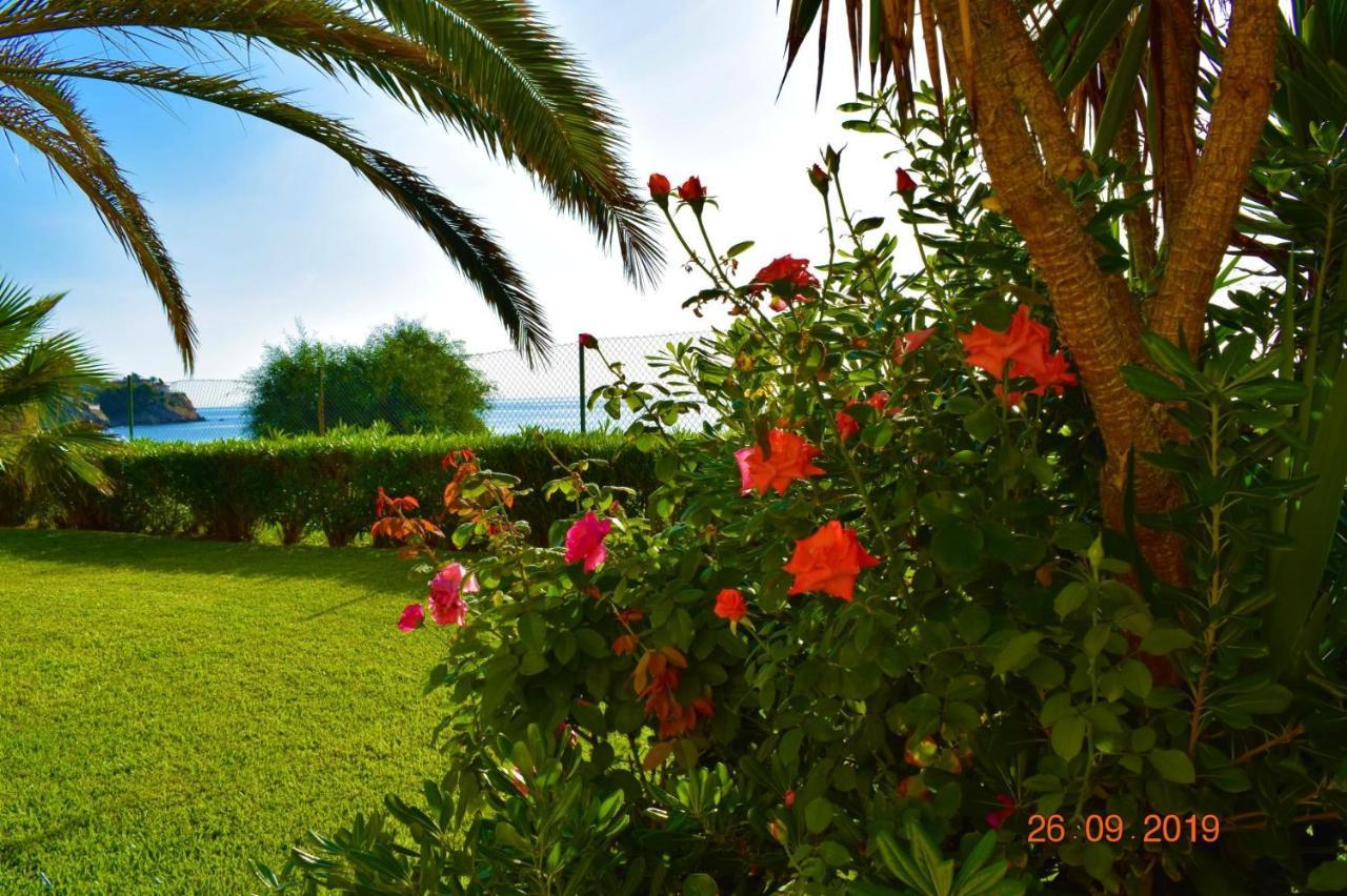 Bungalo En Primera Linea De La Playa Ел Кампело Екстериор снимка